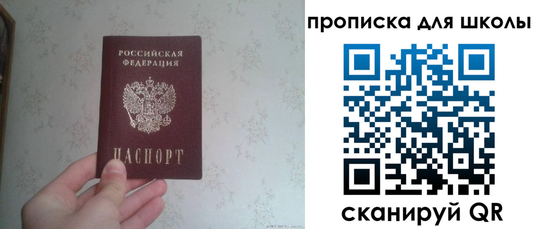 прописка в квартире в Барыше